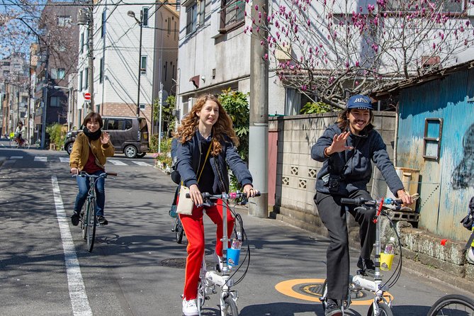 2.5 Hour-Guided Cycle Tour in the Central Tokyo - Reviews From Past Travelers