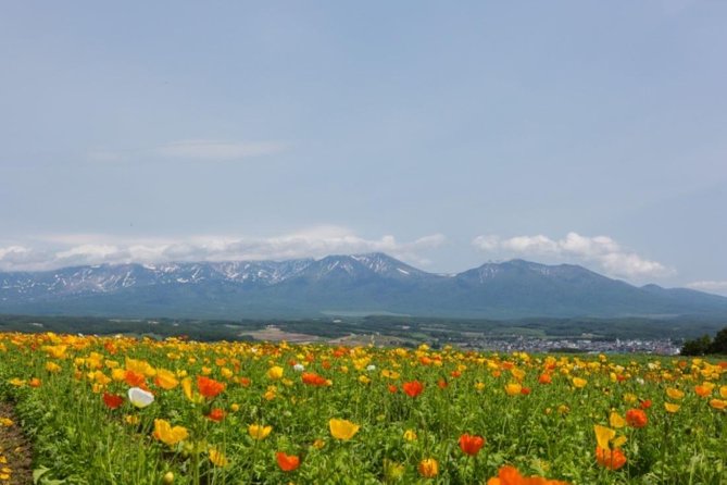 A Relaxing Day for Furano, Biei Blue Pond& Local Curry Lunch in Hokkaido! - Cancellation Policy and Refunds