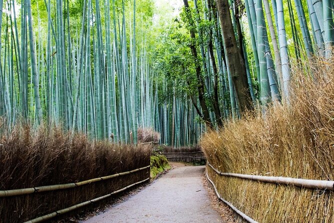 Arashiyama Bamboo Grove Day Trip From Kyoto With a Local: Private & Personalized - Off the Beaten Track Adventures