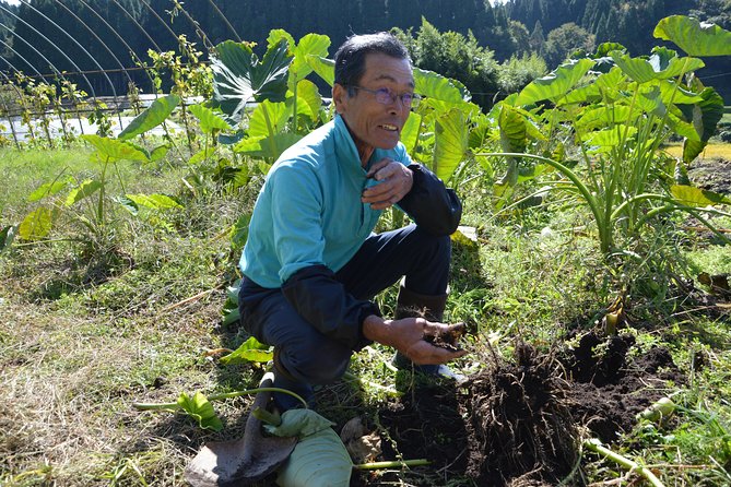 Aso Caldera and Farm Experience Tour - Physical Demands and Limitations