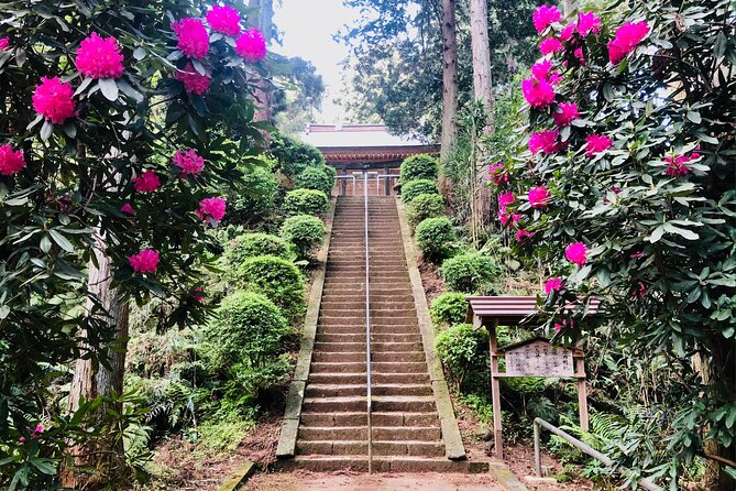 Buddha, Bamboo & Zen - Bespoke Kamakura Private Walking Tours - What to Expect on Your Tour