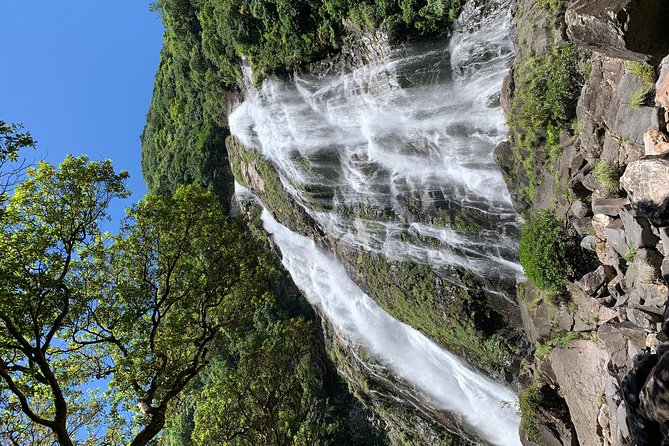 Discovery of Yakushima - Meeting the Local Guides