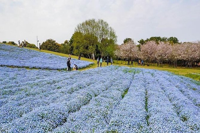 Fukuoka Custom Full Day Tour - Pricing and Group Size