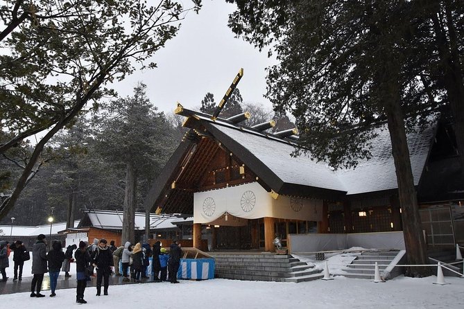 Half-Day (4 Hours) Sapporo City Tour - Important Health and Safety Notes