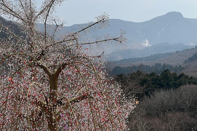 Highlight of Hakone: Private Tour With a Certified National Guide - Unforgettable Moments in Hakone