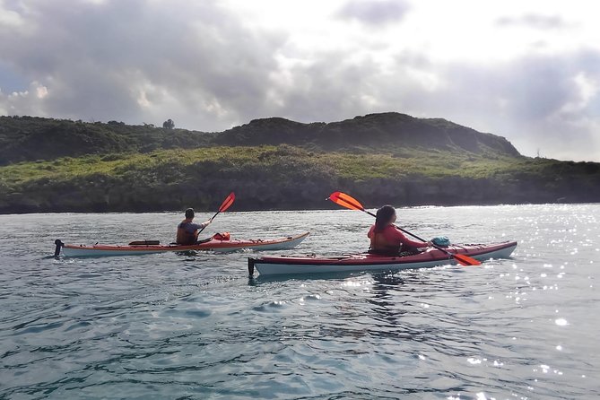 Kayak Mangroves or Coral Reef: Private Tour in North Okinawa - What to Expect on Your Tour