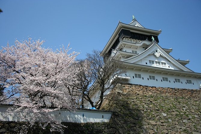 Kitakyushu Full-Day Private Trip With Government-Licensed Guide - Pricing and Booking Details