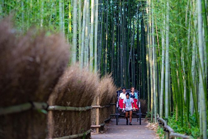 Kyoto Arashiyama Rickshaw Tour With Bamboo Forest - Accessibility and Restrictions