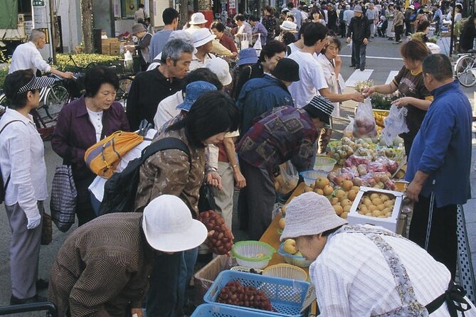 Morioka Full-Day Private Tour With Government-Licensed Guide - Accessibility and Special Needs