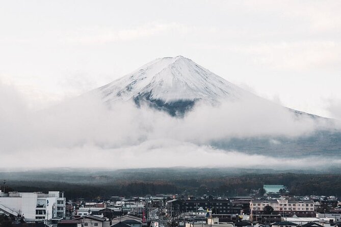 Mt. Fuji and Lake Kawaguchi Day Trip With Private Car - Tour Logistics and Accessibility