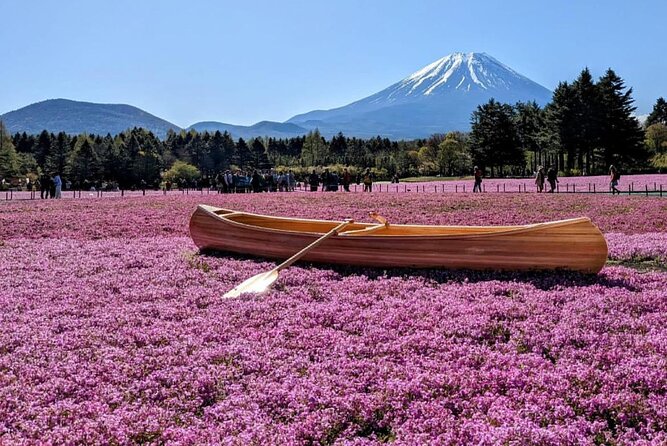 Mt Fuji, Hakone Private Tour by Car With Pickup - Reviews and Testimonials