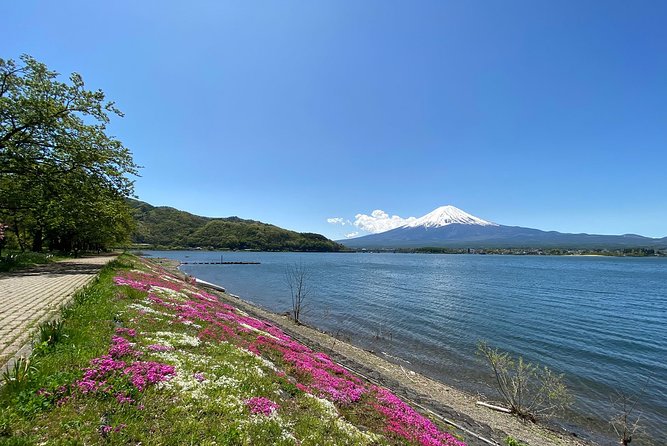 Mt Fuji Half-Day Tour By Car - Cancellation and Refund Policy