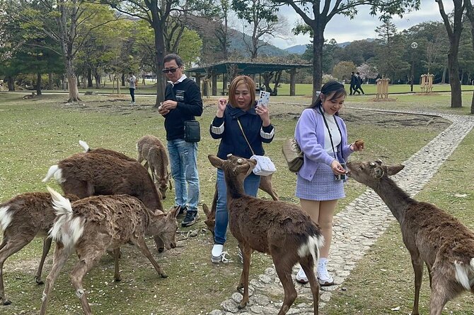 NARA Custom Tour With Private Car and Driver (Max 9 Pax) - NARA Tour Highlights and Attractions