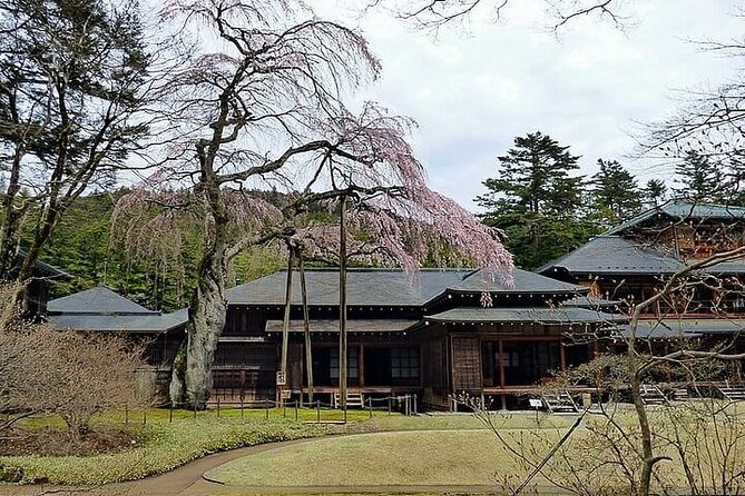 Nikko Private Day Trip With English Speaking Driver - Accessibility and Special Needs