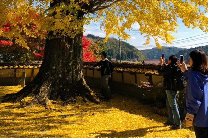 Oasa Country Cycling (Easy Access From Hiroshima 1 Hr Scenic Bus) - About Your Guided Cycling Experience