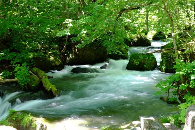 Oirase Gorge and Lake Towada Day Hike With Government-Licensed Guide - Staying Safe on the Trail