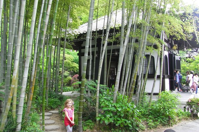 Private Car Tour to See Highlights of Kamakura, Enoshima, Yokohama From Tokyo - Guides and Drivers Expertise