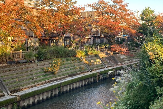 Private Kimono Stroll in Toyama City Possibly With a Shiba Inu - Meeting Point and Accessibility