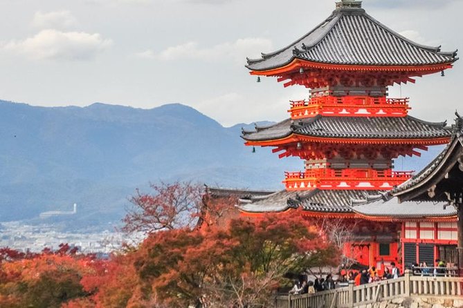 Private Tour: Visit Kyoto Must-See Destinations With Local Guide! - Reviews and Testimonials