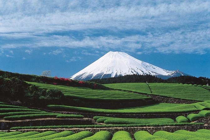 Shizuoka/Shimizu Mt Fuji View 6 Hr Private Tour: Guide Only - Cancellation and Refund Policy