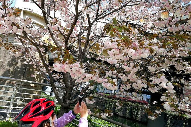 Tokyo Cherry Blossoms Blooming Spots E-Bike 3 Hour Tour - Cherry Blossom Blooming Spots