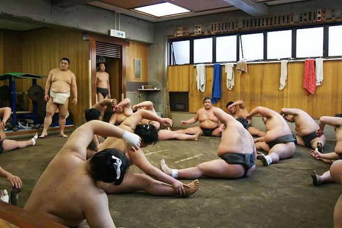 Watch Sumo Morning Practice at Stable in Tokyo - Real Experiences Shared