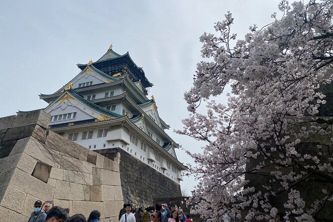 6 Hours Private Foodie Tour From Osaka Castle & Kuromon Market - What to Expect and Access