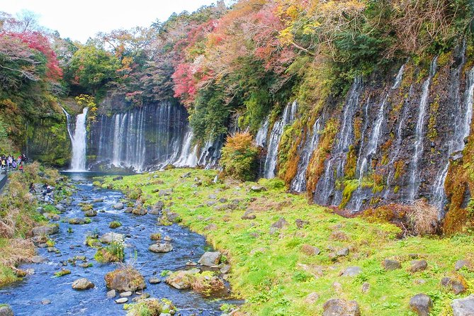 A Trip to Enjoy Subsoil Water and Nature Behind Mt. Fuji - What to Expect and Prepare For