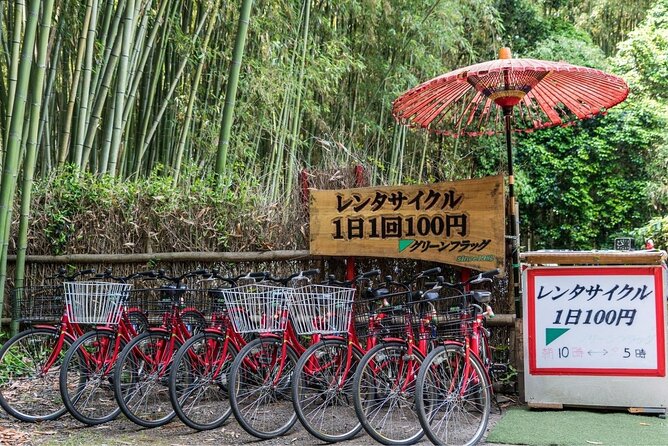 Arashiyama Bamboo Grove Day Trip From Kyoto With a Local: Private & Personalized - Making the Most of Your Day