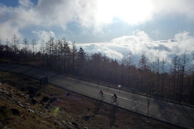 Bike Down Mount Fuji Tour - Safety First and Insurance