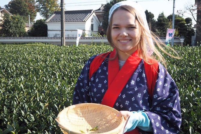 Experience Seasonal Green Tea Picking in Sayama and Nostalgic Walk in Kawagoe! - Important Reminders and Notes