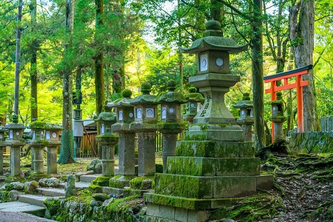 Explore the Best Spots of Arashiyama / Nara in a One Day Private Tour From Kyoto - Capturing Memorable Moments