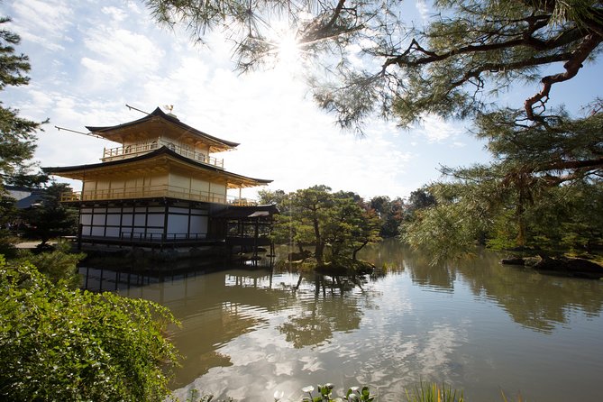 Hidden Kyoto E-Biking Tour - About Your Guides and Bikes