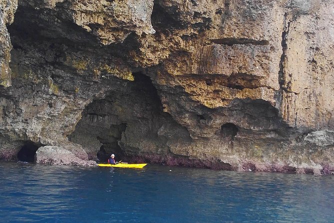 Kayak Mangroves or Coral Reef: Private Tour in North Okinawa - Plan Your Day in North Okinawa