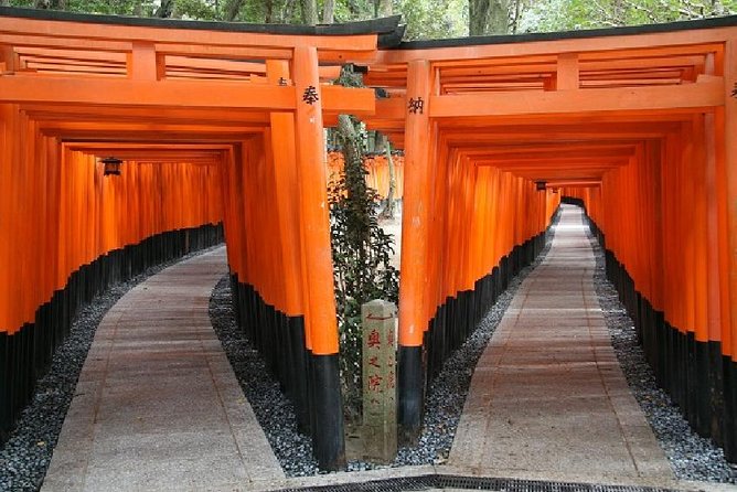 Kyoto Afternoon Tour - Fushimiinari & Kiyomizu Temple From Kyoto - Tour Logistics and Accessibility