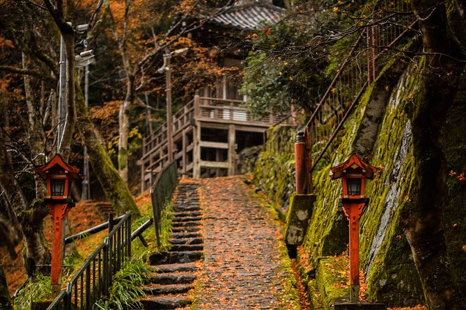 Kyoto Bamboo Forest Electric Bike Tour - Expert Guides and Local Insights