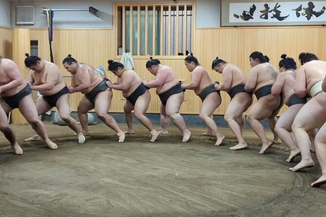 Morning Sumo Practice Viewing in Tokyo - Understanding Sumo Culture Better