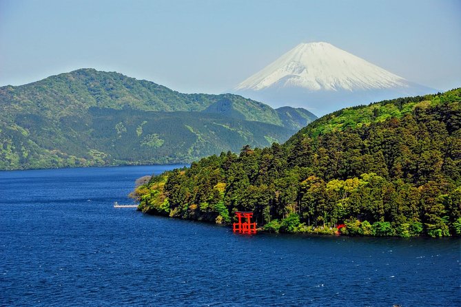 Mt Fuji and Hakone 1-Day Bus Tour Return by Bus - Inclusions and Extras