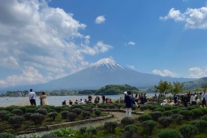 Mt Fuji ( Fuji San) Private Day Tour With English Speaking Driver - Pricing and Cancellation Policy