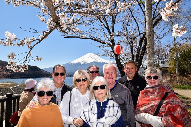 Mt. Fuji & Hakone Day Tour From Tokyo by Car With JP Local Guide - Accessibility and Health Considerations