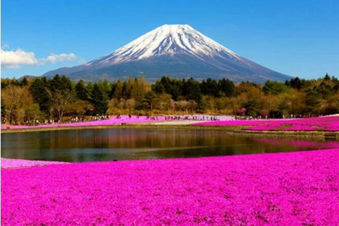 Mt Fuji, Hakone Private Tour by Car With Pickup - Cancellation and Refund Policy