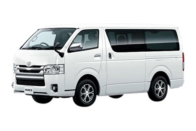 NARA Custom Tour With Private Car and Driver (Max 9 Pax) - Private Car and Driver Benefits