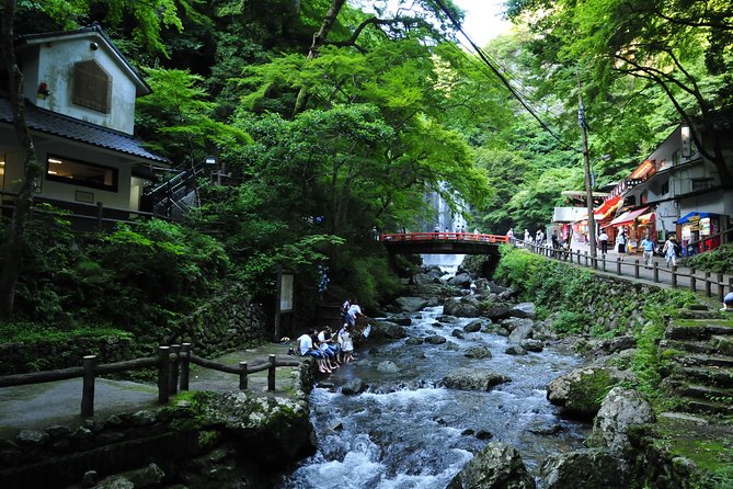 Nature Walk at Minoo Park, the Best Nature and Waterfall in Osaka - What to Expect on the Tour