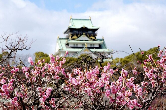 Osaka Cherry Blossom Tour With a Local: 100% Personalized Private - Navigating Osakas Wheelchair Access