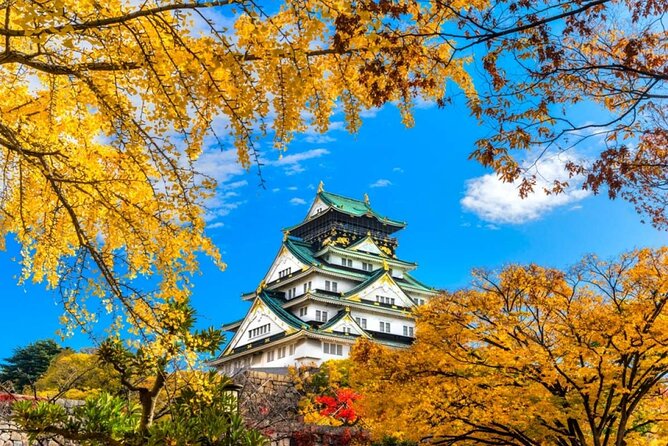 Osaka Private Customize Tour - Why Choose This Private Tour