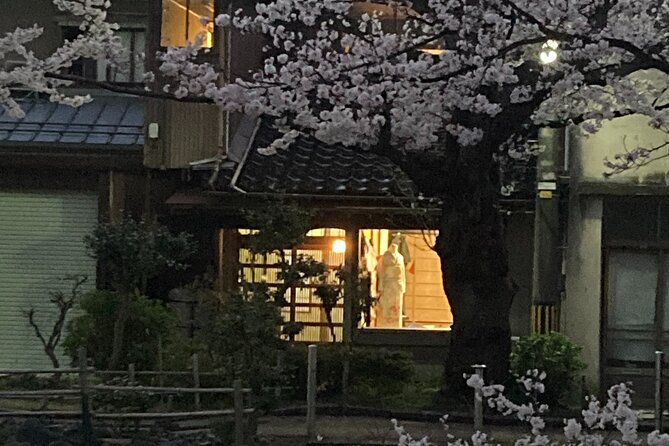 Private Kimono Stroll in Toyama City Possibly With a Shiba Inu - Experience the Local Culture