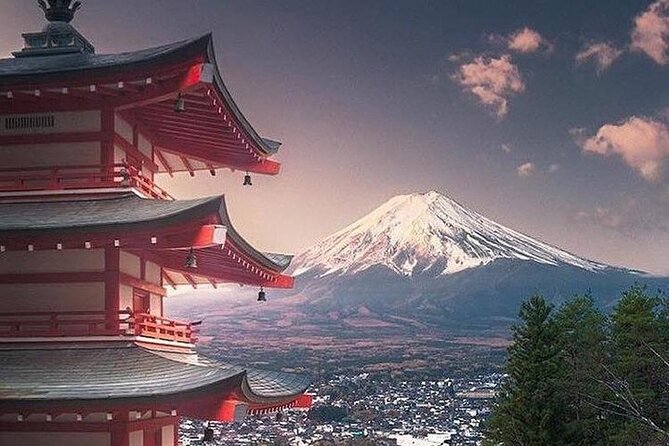 Private Sightseeing to Mt Fuji and Hakone Full Day - Why Choose This Private Tour