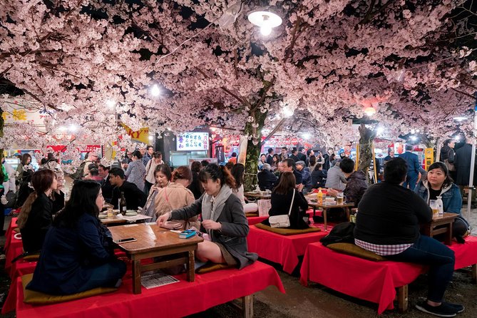 Private & Unique Kyoto Cherry Blossom Sakura Experience - Unique Yozakura Experience