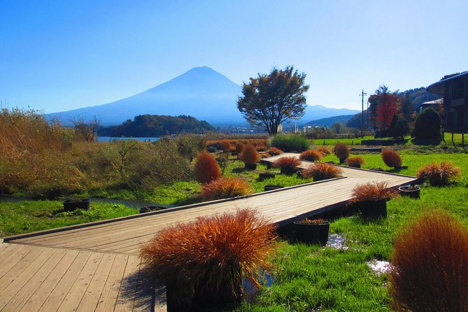 Scenic Spots of Mt Fuji and Lake Kawaguchi 1 Day Bus Tour - Logistics and Transportation