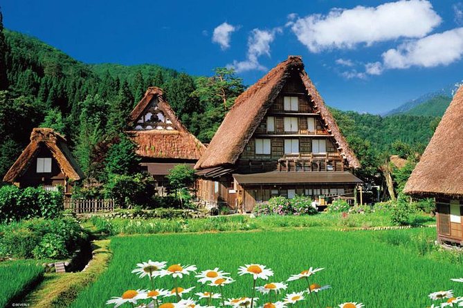 Shirakawago All Must-Sees Private Chauffeur Tour With a Driver (Takayama Dep.) - Real Customer Reviews and Ratings